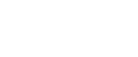 tip secret logo head